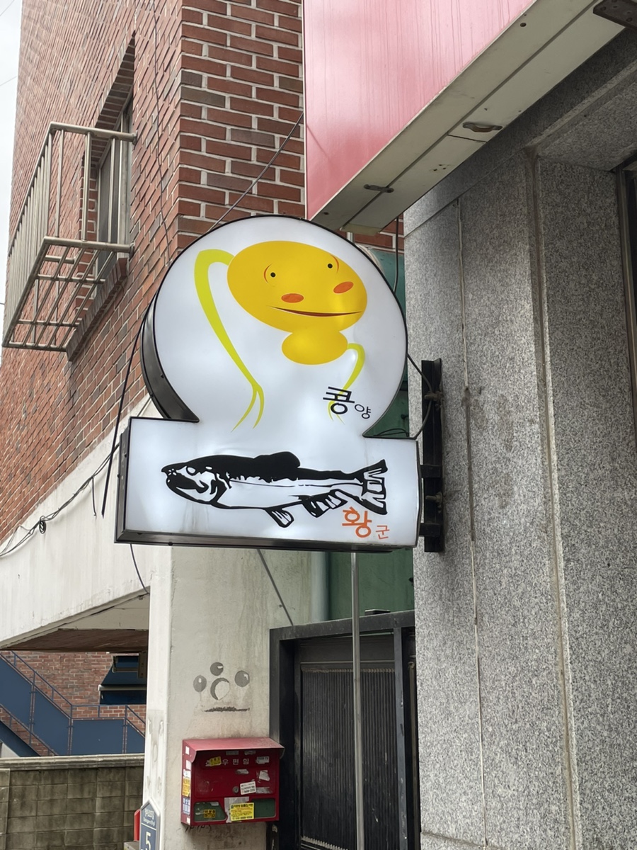 콩양황군 사진 7