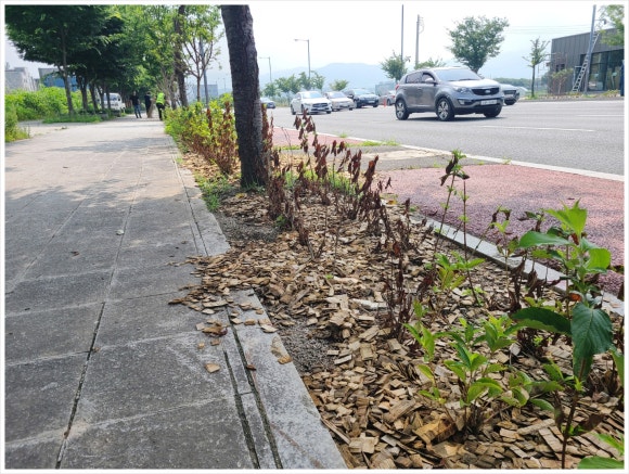 만세인력 이미지