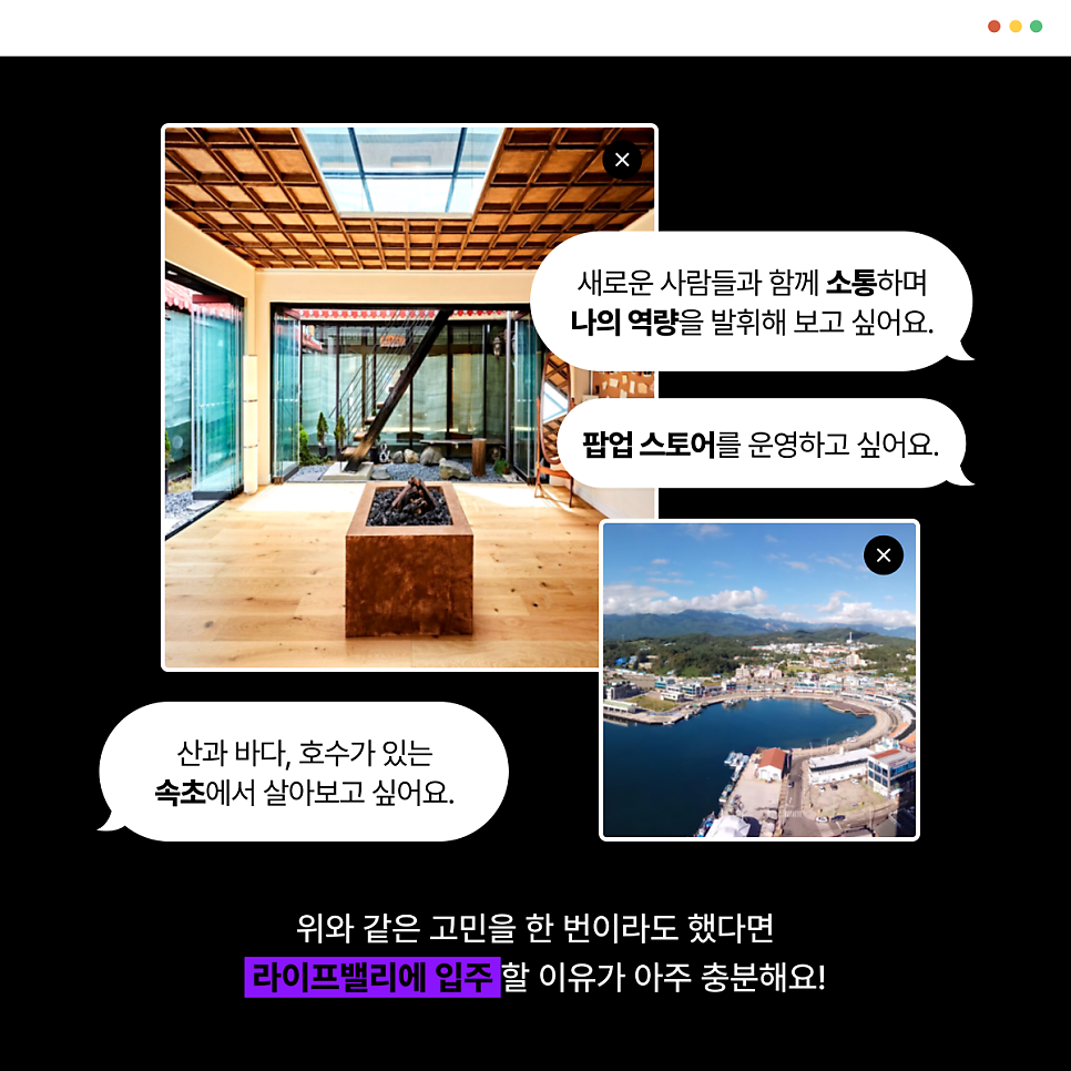트리밸 이미지