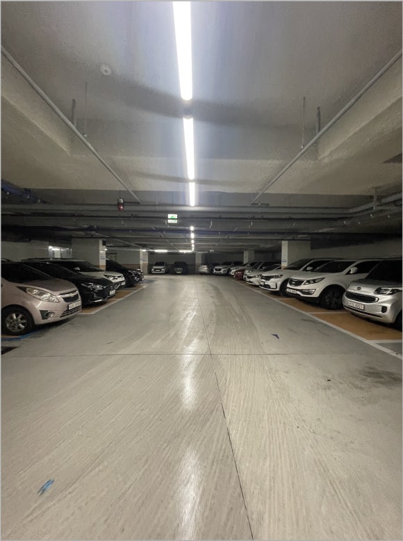 더바디스 이미지