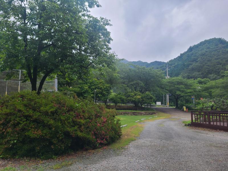 메이플펜션 이미지