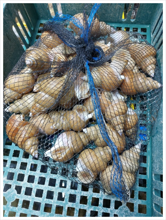 태평양수산 이미지