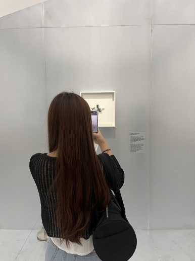 샴푸의요정 이미지
