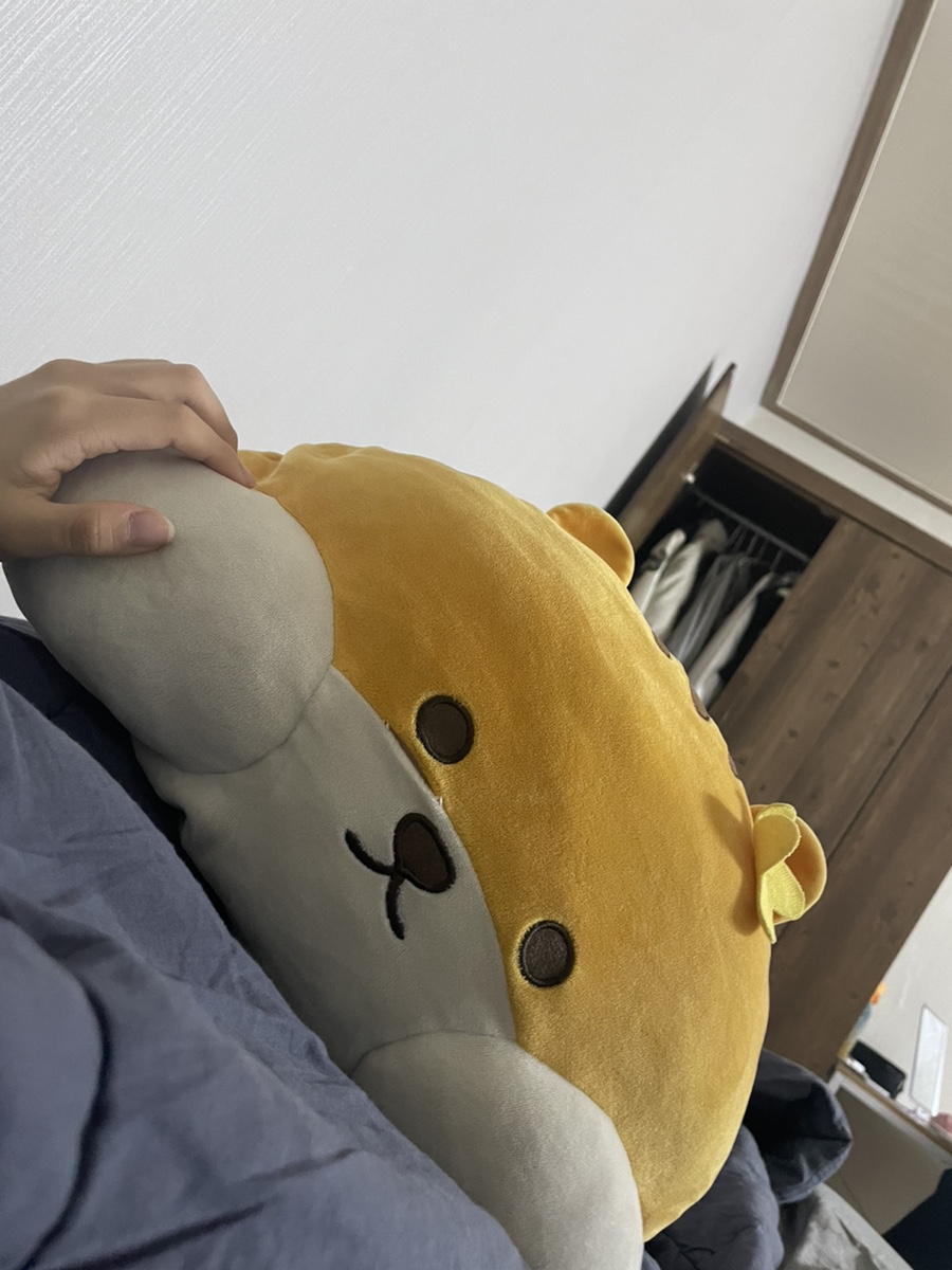 강내이불 이미지