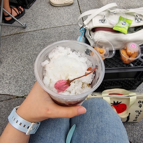 벚꽃다례 이미지