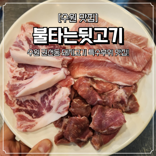 불타는뒷고기 이미지