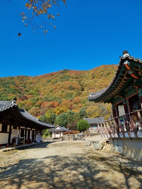 옥천산방라온 이미지