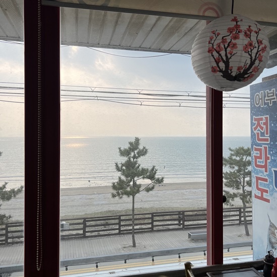 꽉찬조개 이미지