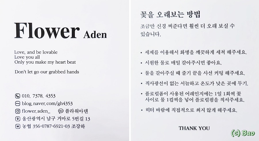 아덴플라워 이미지