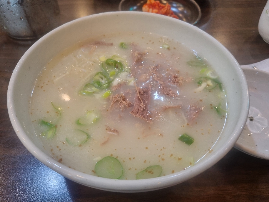 능동국시 이미지
