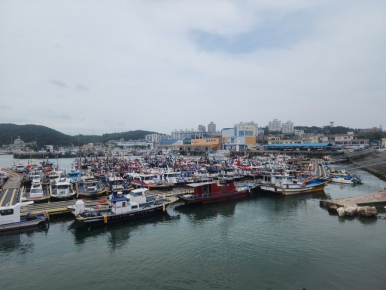 정감치과의원 이미지