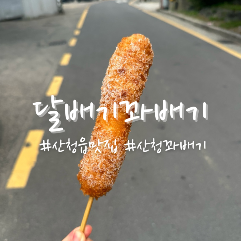 달배기꽈배기 이미지