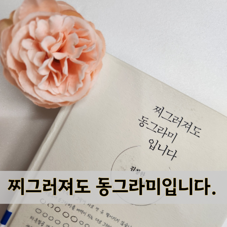 책 도서 추천 리뷰 : 찌그러져도 동그라미입니다. 산울림 김창완 줄거리 독후감