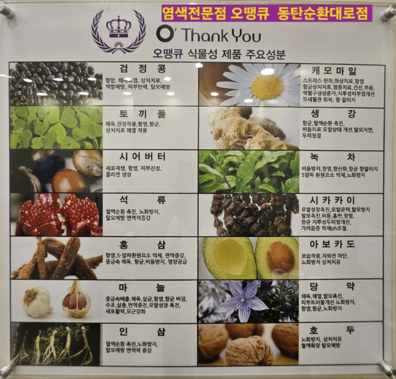 오땡큐 머리염색 전문점 이미지