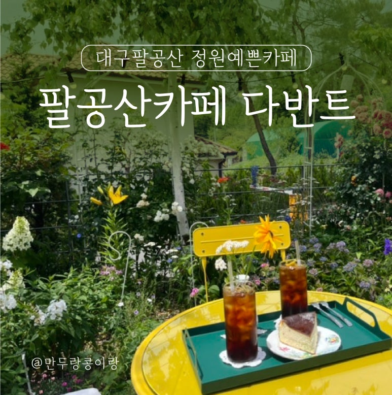 다반트 이미지