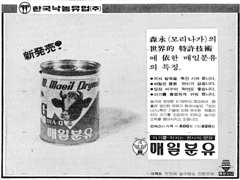 삼영광고 이미지