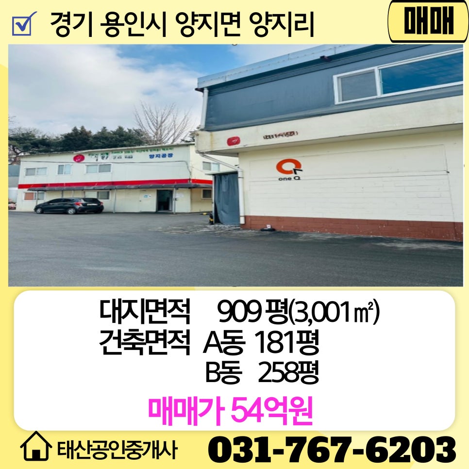 양지식품 이미지