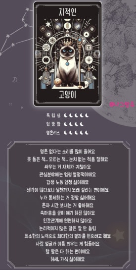 테이크파이브 이미지