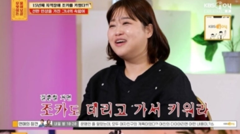비조카 이미지