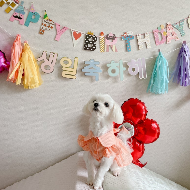 꽁이옷장 이미지