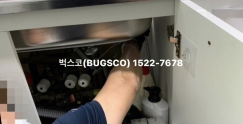 벅스코 이미지