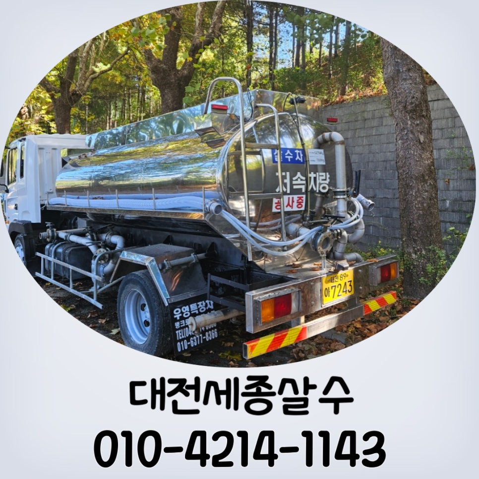 대전물차 이미지
