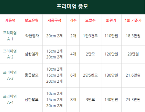 홍대헤어 이미지