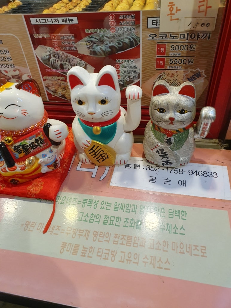 타코방 사진 6