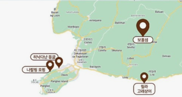 거북이 차과자 이미지