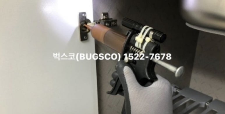 벅스코 이미지
