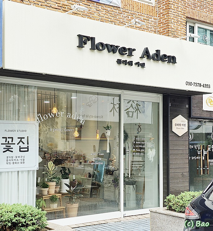 아덴플라워 이미지