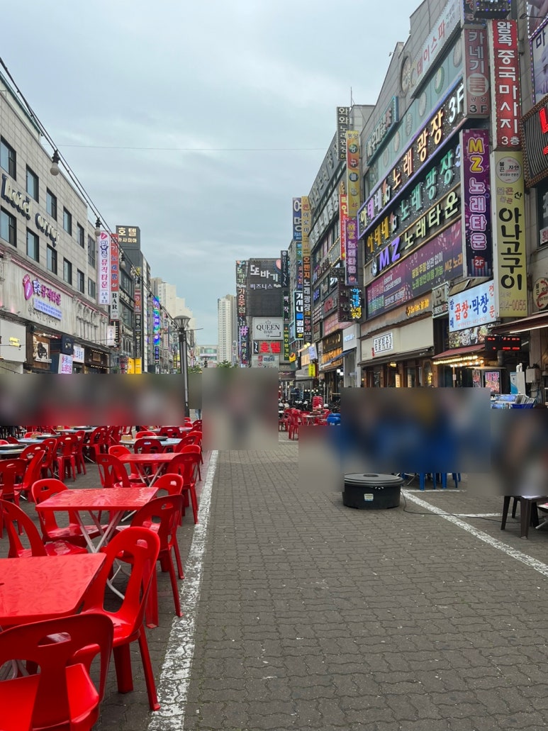 탄통제주돼지 이미지