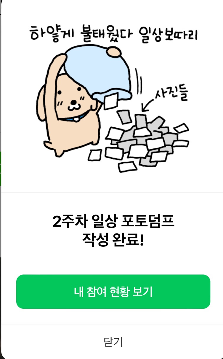아이그라운드 이미지