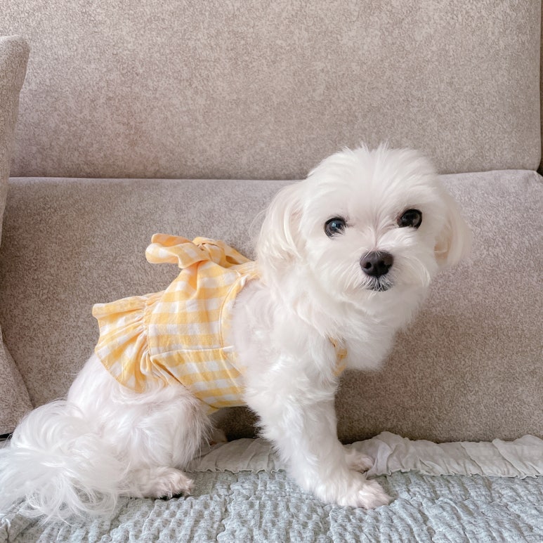 꽁이옷장 이미지