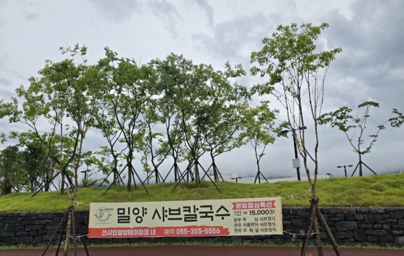 밀양샤브칼국수 이미지