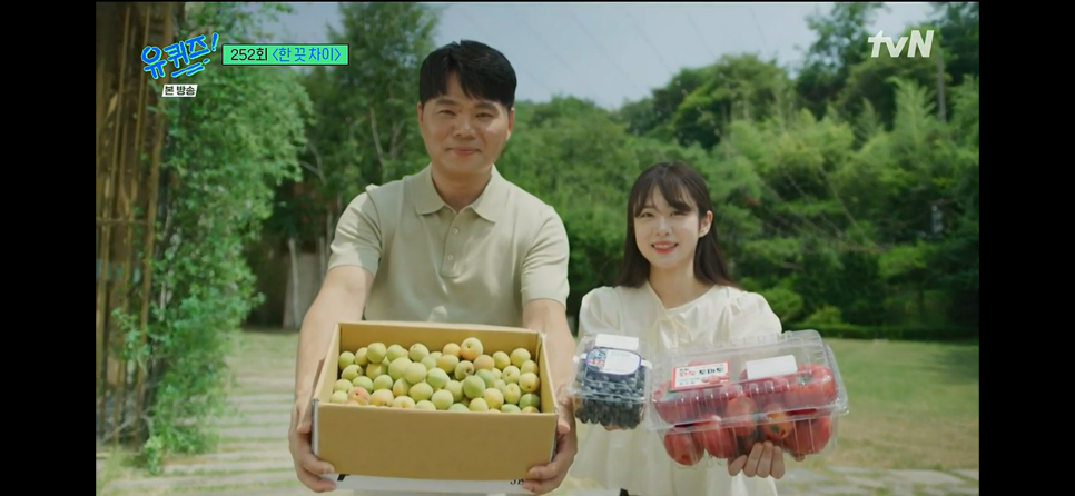 양튜브 이미지