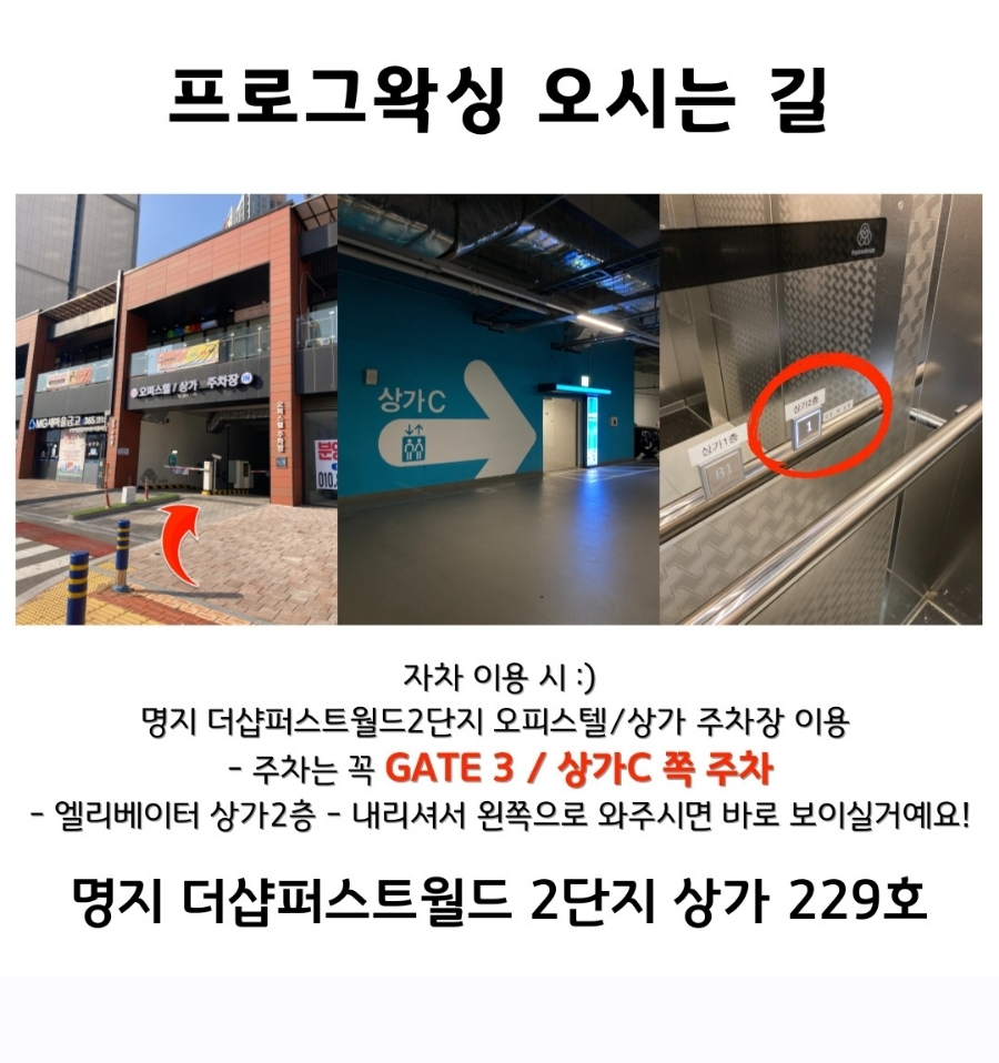 프로그왁싱 이미지