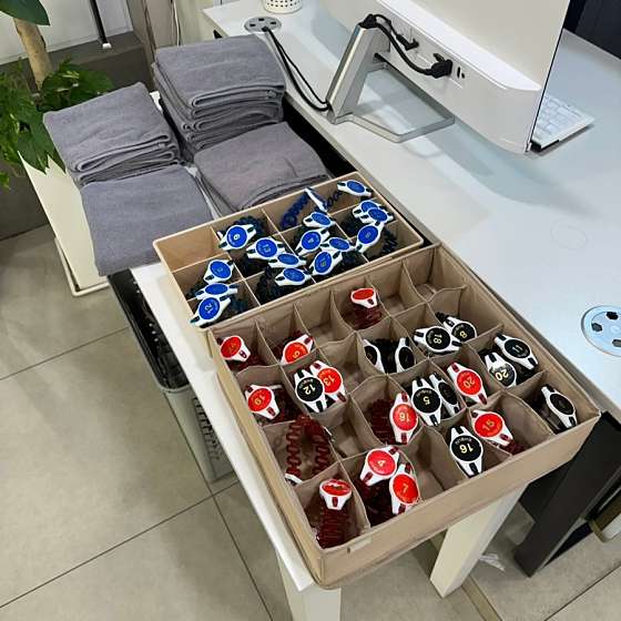 돌핀수영 이미지
