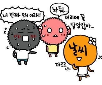 황금농산 이미지