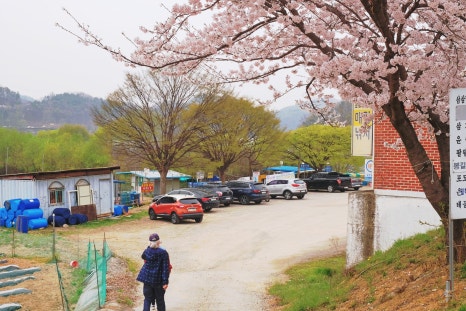 태공낚시 이미지