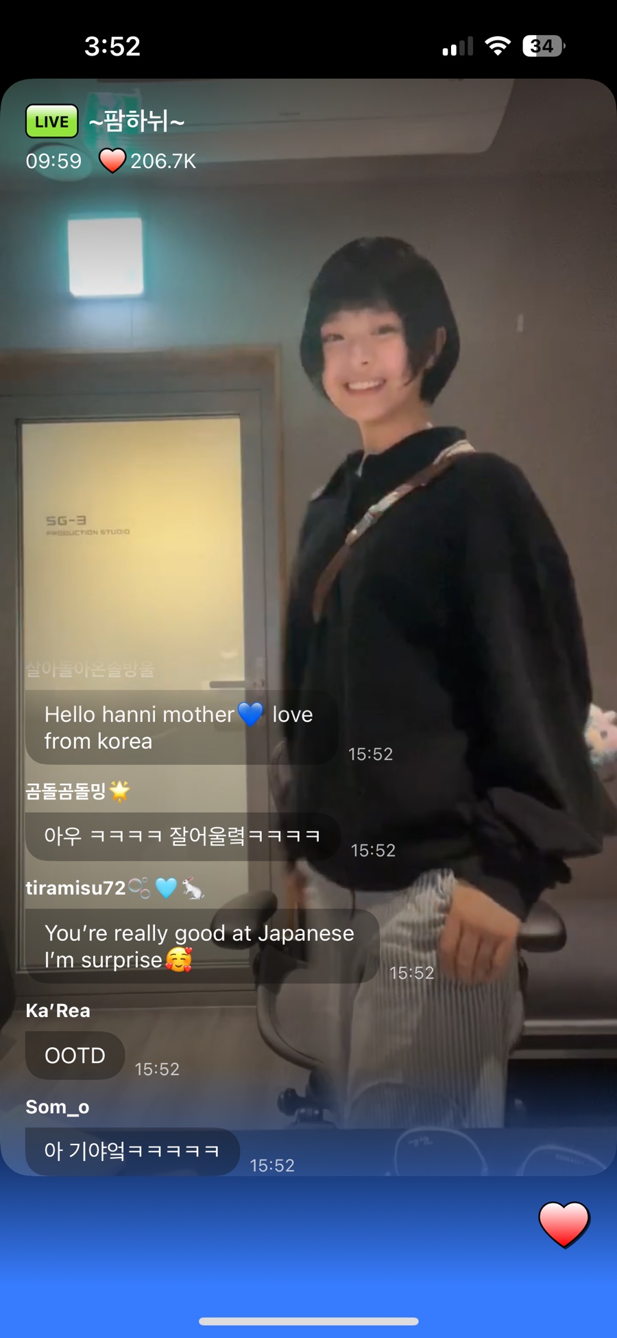 부라보회관목대 이미지