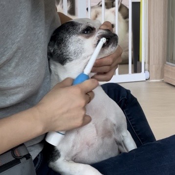 청려원 이미지