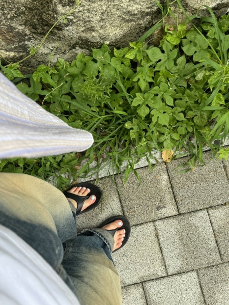 네일또또와 이미지