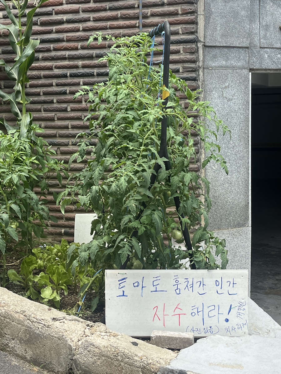 그리고7월 이미지
