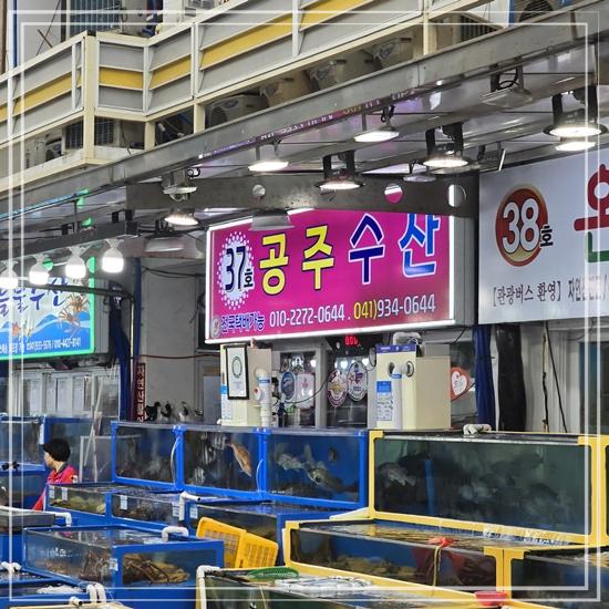 공주회수산 이미지
