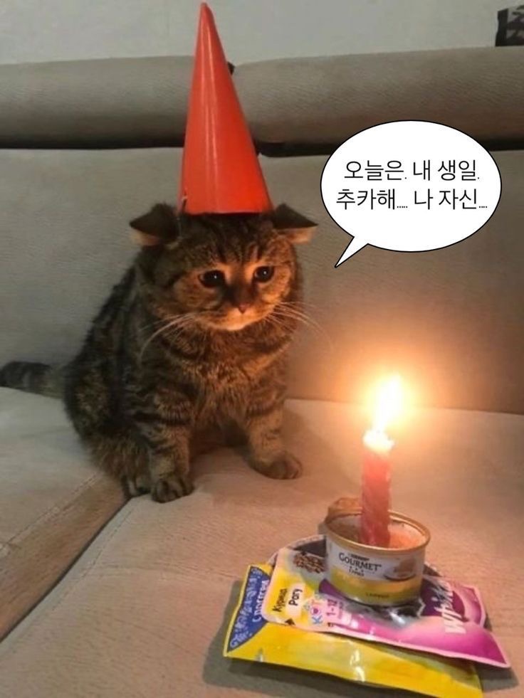 버터하프베이크샵 이미지