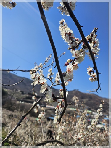 평거요양병원 이미지