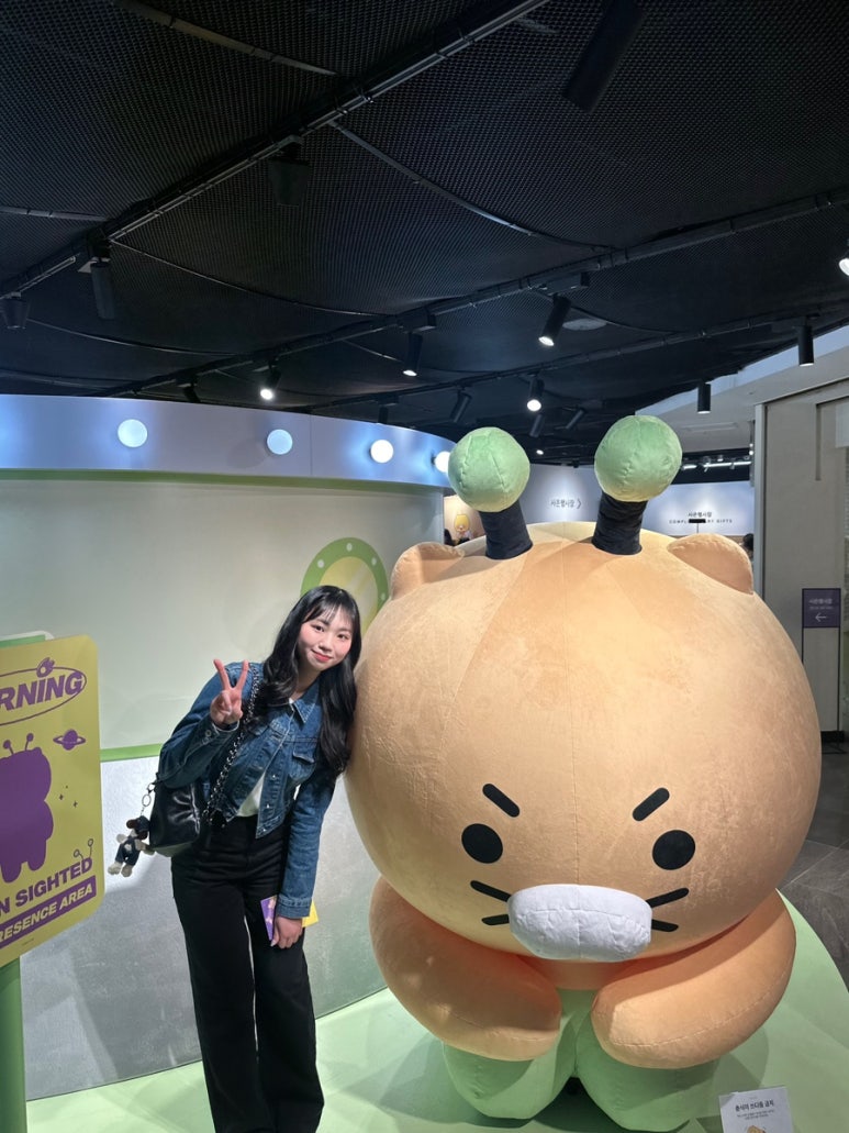 노라보까 이미지