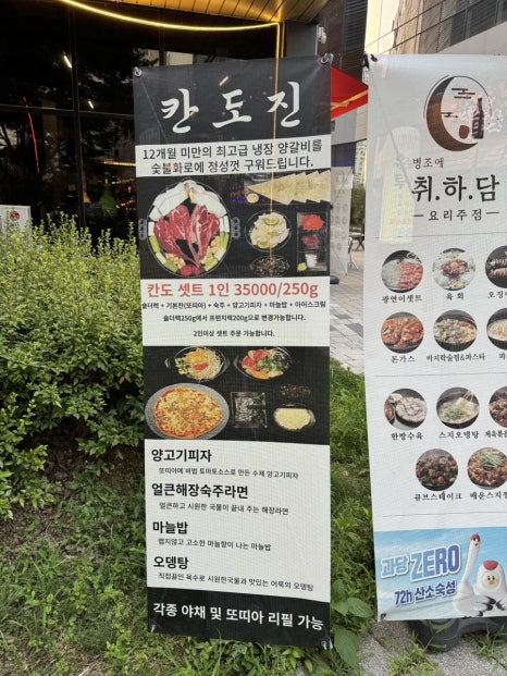 칸도진 이미지