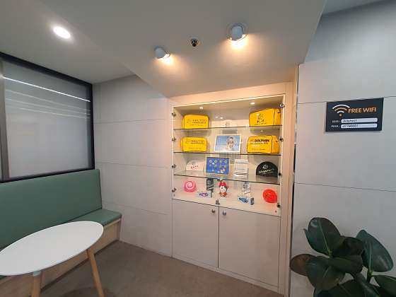 돌핀수영 이미지